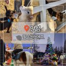 안도웰빙체험장(안도마을) | 평택 안성 아이랑 가볼만한곳 추천 안성팜랜드 주차 입장료