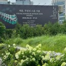 에메랄드퀸 | 안국 무료 전시 추천! 푸투라 서울 에메랄드 정원 전시 후기｜예약, 관람 정보 총정리