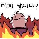 설빙울산 이미지