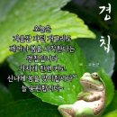 오늘이 절기상 경칩(驚蟄)일이다. 이미지