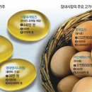 (주) 더블유커뮤니케이션 이미지