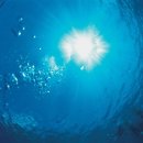 (주)황금바다 이미지