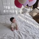 하루시작 | 7개월 아기 후기 이유식 시작, 하루 세끼 루틴 기록
