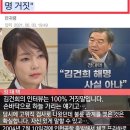 체코를 좋아하시는 김건희 영부인님 이미지