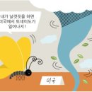 대한제분(주) 이미지
