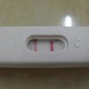 아이본약국 이미지