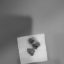 문정탑 동물병원 이미지