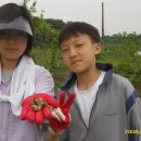 행복한 농장 이미지