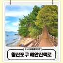 진목어촌체험휴양마을 | 서산 여행 왕산포구 왕산어촌체험휴양마을 해안산책로 아이랑 방문 후기