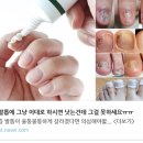 윤현숙농장 | &#34;물가 싸다는 말만 믿고 갔다가...&#34; 저렴한 스위스라고 소문만 나라의 실상