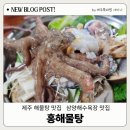 홍해물탕