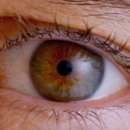 밝은빛안경 이미지