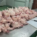 백숙용통오리 로스.주물럭용생오리 훈제오리 오리안심(훈제오리할인) 이미지