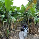 성혜농장 이미지