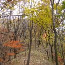 북동 우체국 앞 | 운두산(은두봉 678.4m) (경기 남양주, 가평) 산행기