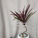 부민초등학교 건너편 이미지