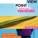 인라이프 이미지