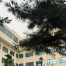 로하스민박 | [강릉] 경포비치관광호텔, 로하스 펜션 후기 / 여름 극성수기