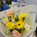 칠성남로 이미지