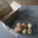 금봉 농장 | 7.25 일기) 딱복에 미친자 복숭아 네이버 쇼핑 후기 (내돈내산)