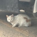 무갑산 | [등산] 등린이 커플 다섯번째 등산, 무갑산 다녀온 후기