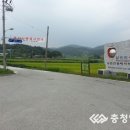 알토란사과체험마을 이미지