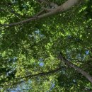 길손민박 이미지