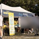 2026 N서울타워 글로벌 나이트워크 서울야경 야간 걷기 축제