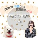 르밍 네이버블로그