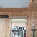 꽃과사는여인 이미지