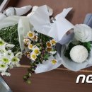 윤PC방 이미지
