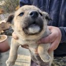 회성동225 이미지