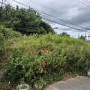 제이제이모텔 이미지