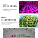 농업회사법인풀로만주식회사 이미지