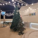 피코 키즈풀빌라 부산 이미지