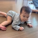 허그맘 - 강남구 테헤란로78길 16 | 스텝퍼 아기샤워목욕핸들로 더 꼼꼼한 아기목욕, 7개월 아기맘허그베어 솔직 후기