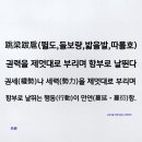 고원초등학교 이미지