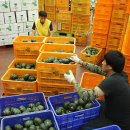 내촌농협 농산물산지유통센터 이미지