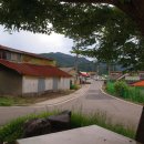 식현1리 이미지