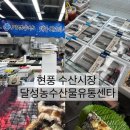 농수산물유통센터 버스정류장 | 현풍 해산물 밀키트 수산시장 추천&#39; 달성농수산물유통센터&#39; 장어 구입 후기