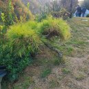 방우농장 이미지