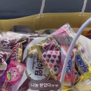 [도리의 덕질] 고등학생 위즈니와 의기투합한 2025년 슴콘 후기 2
