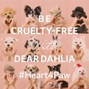 달달리아 이미지