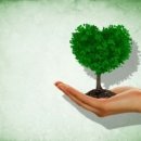 인생을 글로 쓰다 이미지