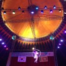 통영서커스 이미지