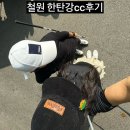 한탄강 CC 골프연습장 | 강원도 철원 골프장 한탄강cc 정예골프동호회 정기라운딩 후기