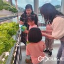 인삼스마트팜