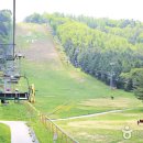 나는 여름에 스키장 간다! 용평리조트 레포츠 탐험 이미지