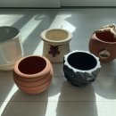 오도로화분