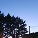 딱정벌레펜션 이미지